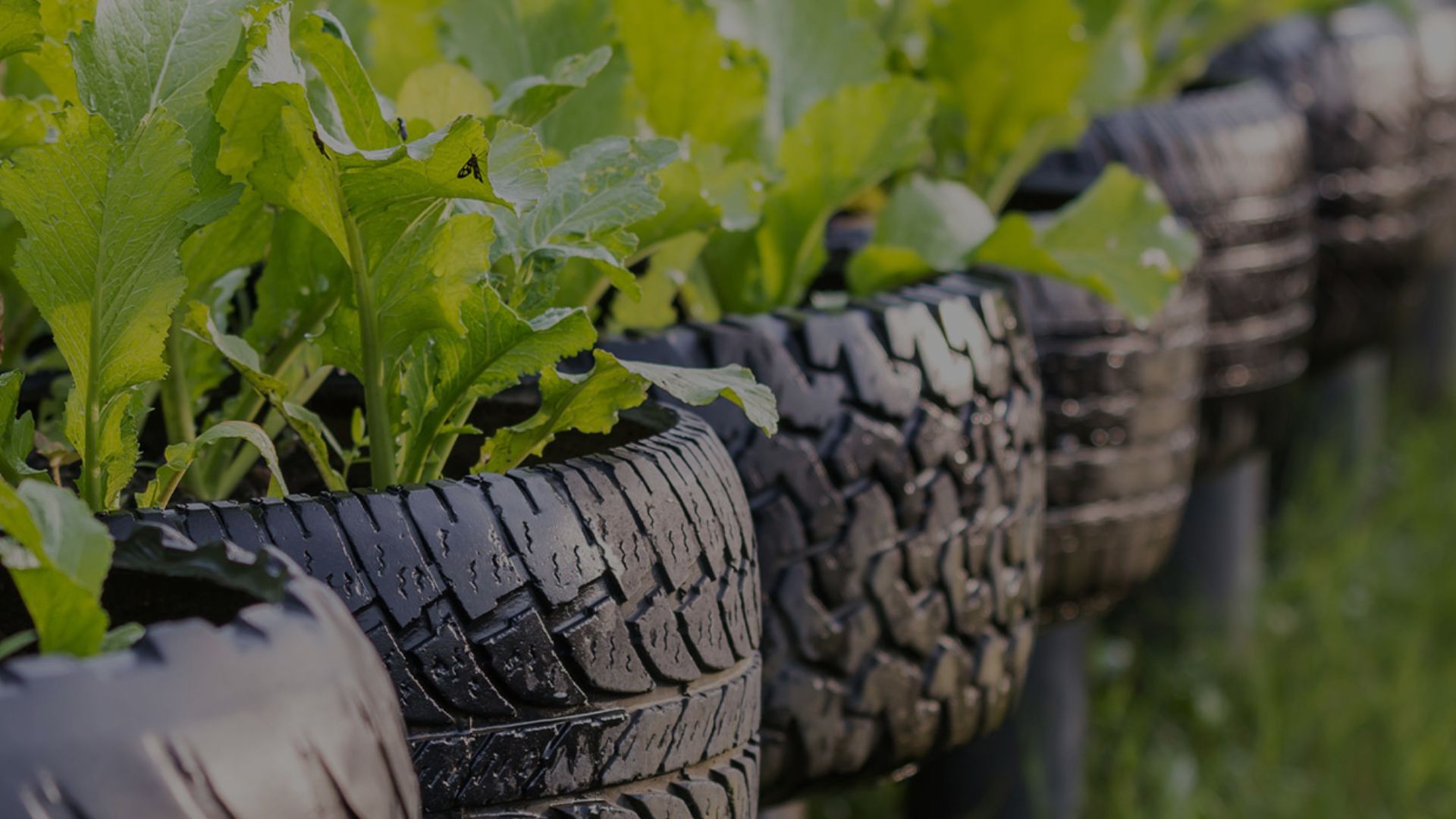 Renew Tire Recycling